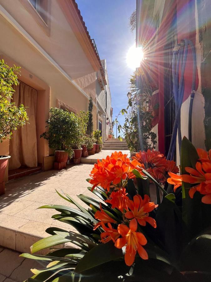 Hanna'S Estudio Deluxe Alicante Exteriör bild