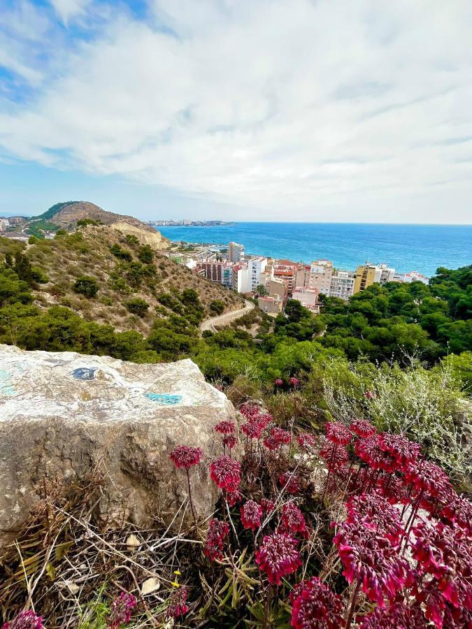 Hanna'S Estudio Deluxe Alicante Exteriör bild